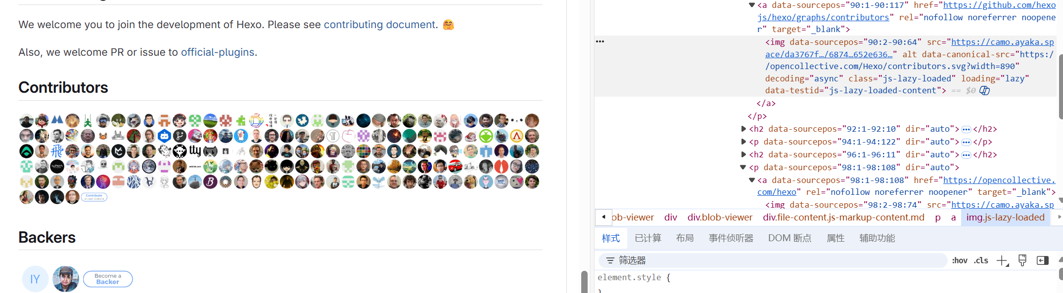 Camo 服务启用后的效果